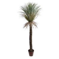 Wild Yucca Palmboon in pot 152 cm