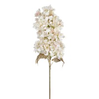 Hyacinth Flower Stam White/ Cream