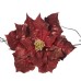 poinsettia flower on clip red/gold 43cm