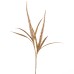 Kersttak Dog Tail Grass 79 cm