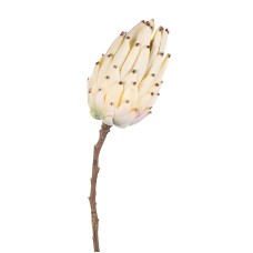 Tak Protea Bloem 58 cm