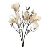 Magnoliabloem met Flock