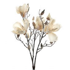 Magnoliabloem met Flock