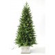Norfolk kerstboom met 200 LEDS